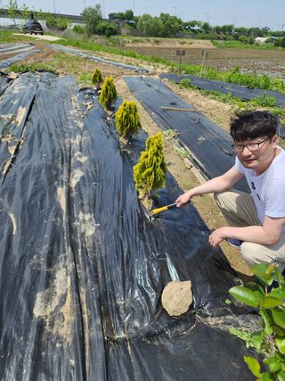 배현욱님의 기타작물 · 자유게시판 작성글 사진