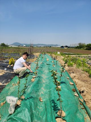 배현욱님의 기타작물 · 자유게시판 작성글 사진