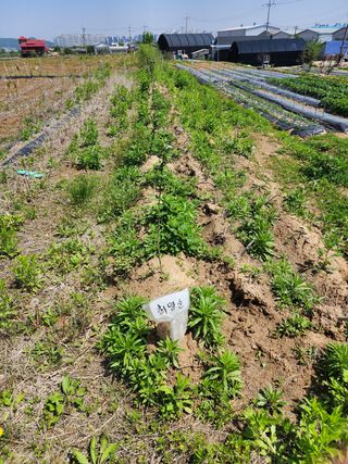 배현욱님의 기타작물 · 자유게시판 작성글 사진