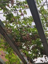 팜모닝 자유주제·자유게시판 게시글 이미지