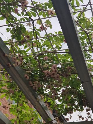 김건호님의 자유주제 · 자유게시판 작성글 사진