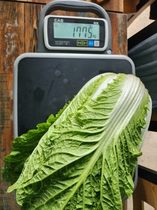 강태민님의 작성글 사진