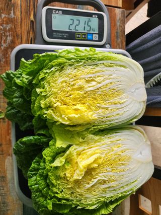 강태민님의 작성글 사진