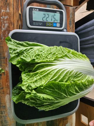 강태민님의 작성글 사진