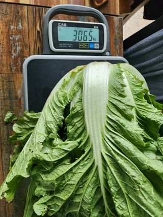 강태민님의 작성글 사진