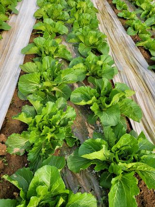 강태민님의 작성글 사진