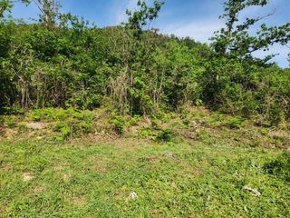 김청아님의 자유주제 · 자유게시판 작성글 사진