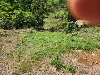 김청아님의 자유주제 · 자유게시판 작성글 사진