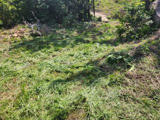 김청아님의 자유주제 · 자유게시판 작성글 사진