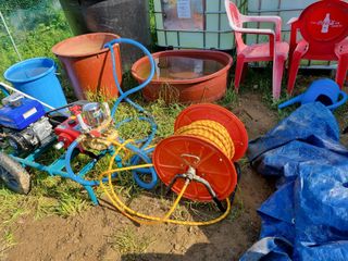 전성환님의 마늘 · 마늘 쪽 비대기 작성글 사진