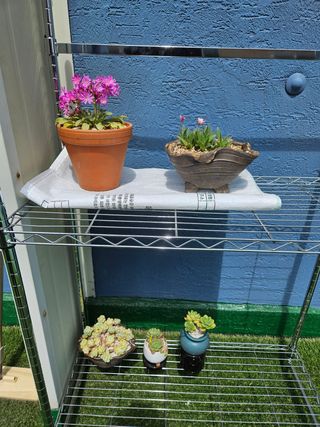 김국현님의 블루베리 · 자유게시판 작성글 사진