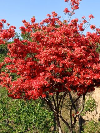 알 수 없음님의 기타작물 · 자유게시판 작성글 사진