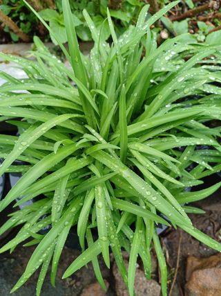 알 수 없음님의 기타작물 · 자유게시판 작성글 사진