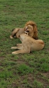 팜모닝 자유주제·자유게시판 게시글 이미지