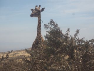개울건너집님의 자유주제 · 자유게시판 작성글 사진