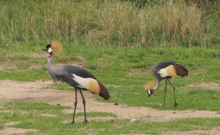 개울건너집님의 자유주제 · 자유게시판 작성글 사진