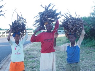개울건너집님의 자유주제 · 자유게시판 작성글 사진