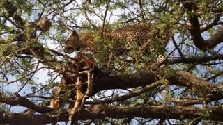 개울건너집님의 자유주제 · 자유게시판 작성글 사진