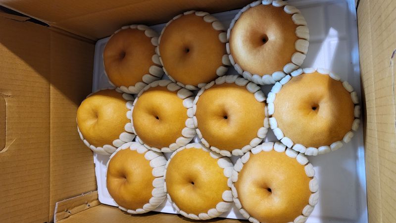 장터 상품 [신고배 사진은 작가님 촬영 사진입니다] 썸네일