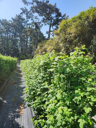 심원댁님의 자유주제 · 자유게시판 작성글 사진