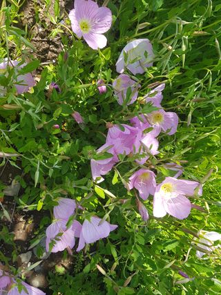 배영이님의 자유주제 · 자유게시판 작성글 사진