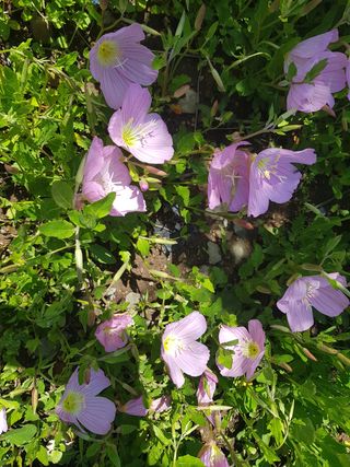 배영이님의 자유주제 · 자유게시판 작성글 사진