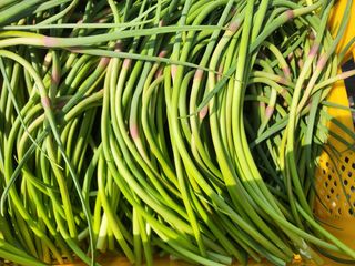 농부아내님의 작성글 사진