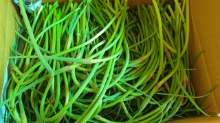 농부아내님의 작성글 사진