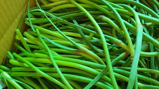 농부아내님의 작성글 사진