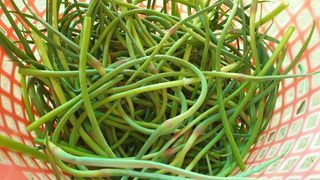 농부아내님의 작성글 사진