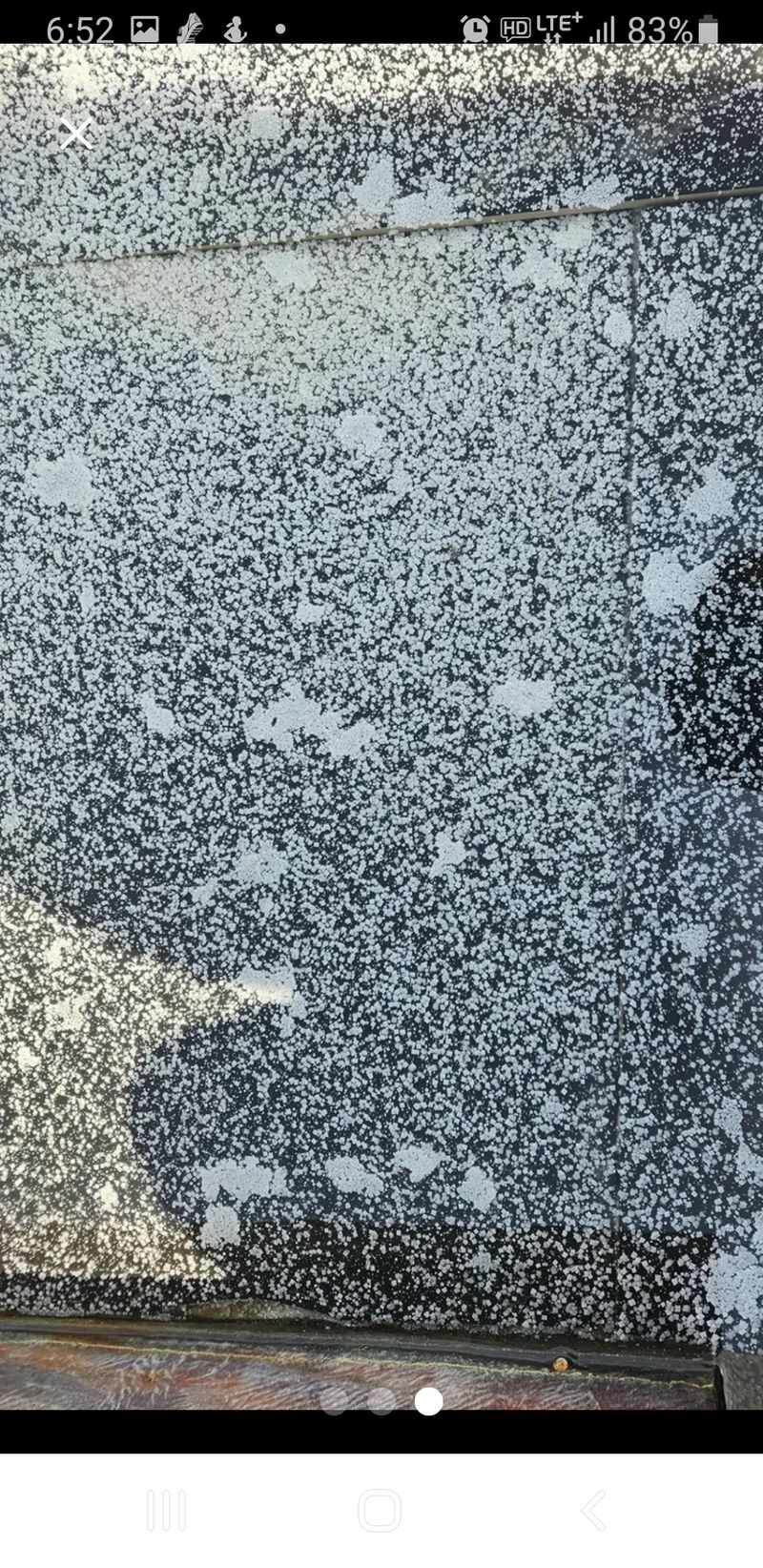 장터 상품 [천일염] 썸네일