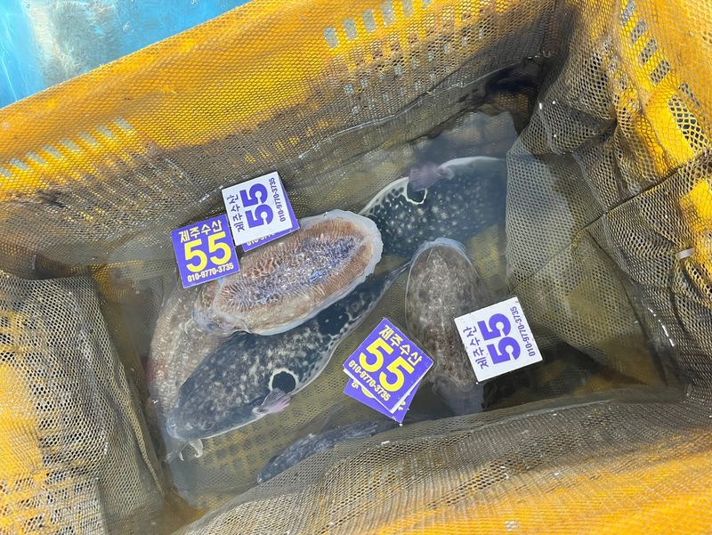 장터 상품 [특가) 갑오징어 횟감 1kg] 썸네일