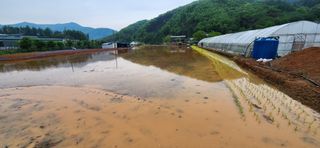 권택화님의 자유주제 · 자유게시판 작성글 사진