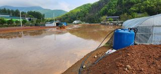 권택화님의 자유주제 · 자유게시판 작성글 사진