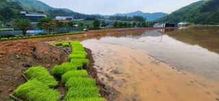 권택화님의 자유주제 · 자유게시판 작성글 사진