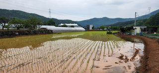 권택화님의 자유주제 · 자유게시판 작성글 사진