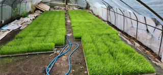 권택화님의 자유주제 · 자유게시판 작성글 사진