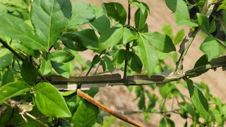 조경선님의 자유주제 · 자유게시판 작성글 사진