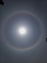 팜모닝 자유주제·자유게시판 게시글 이미지