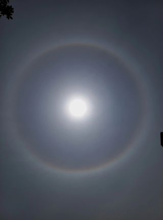 박¿일님의 자유주제 · 자유게시판 작성글 사진