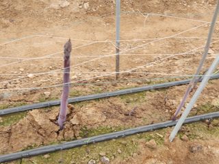 김현정님의 작성글 사진