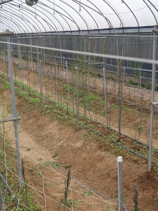 김현정님의 작성글 사진