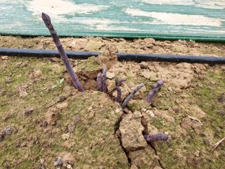 김현정님의 작성글 사진