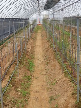 김현정님의 작성글 사진