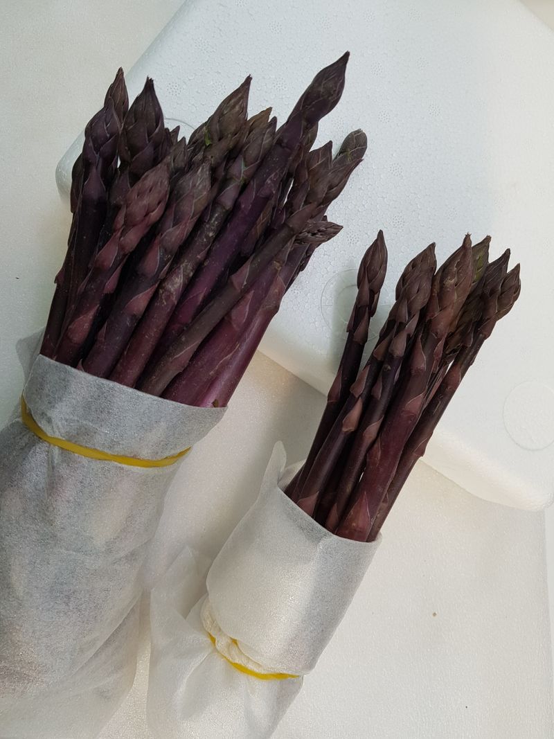 김현정님의 장터 판매 상품 [유기농 보라아스파라거스] 첨부 사진