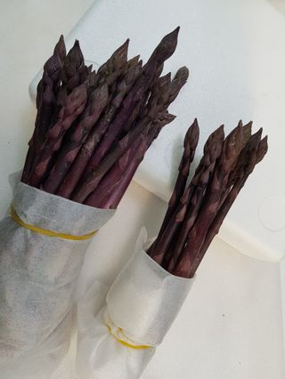 김현정님의 작성글 사진