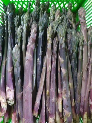 김현정님의 작성글 사진