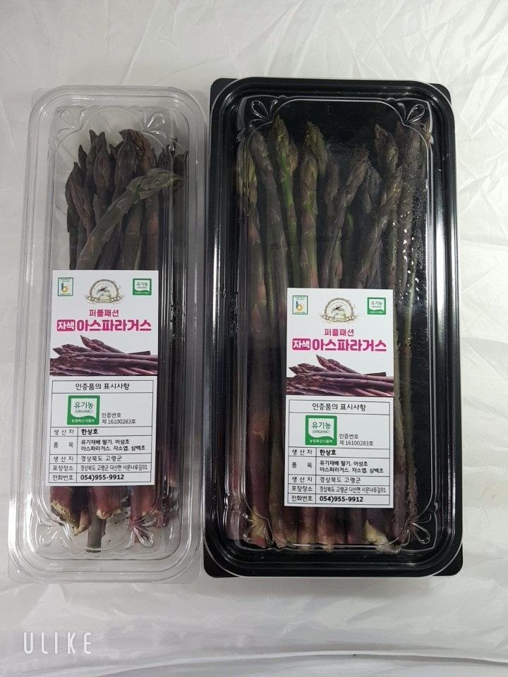 김현정님의 장터 판매 상품 [유기농 보라아스파라거스] 첨부 사진
