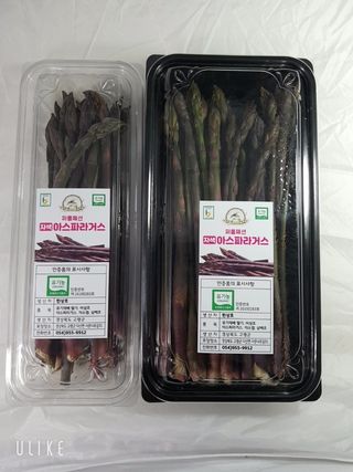 김현정님의 작성글 사진