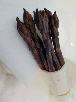 김현정님의 작성글 사진